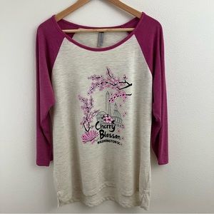 Cherry Blossom in Washington DC Top